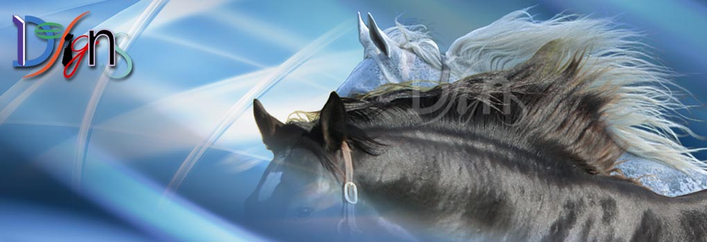 デザインのページへ